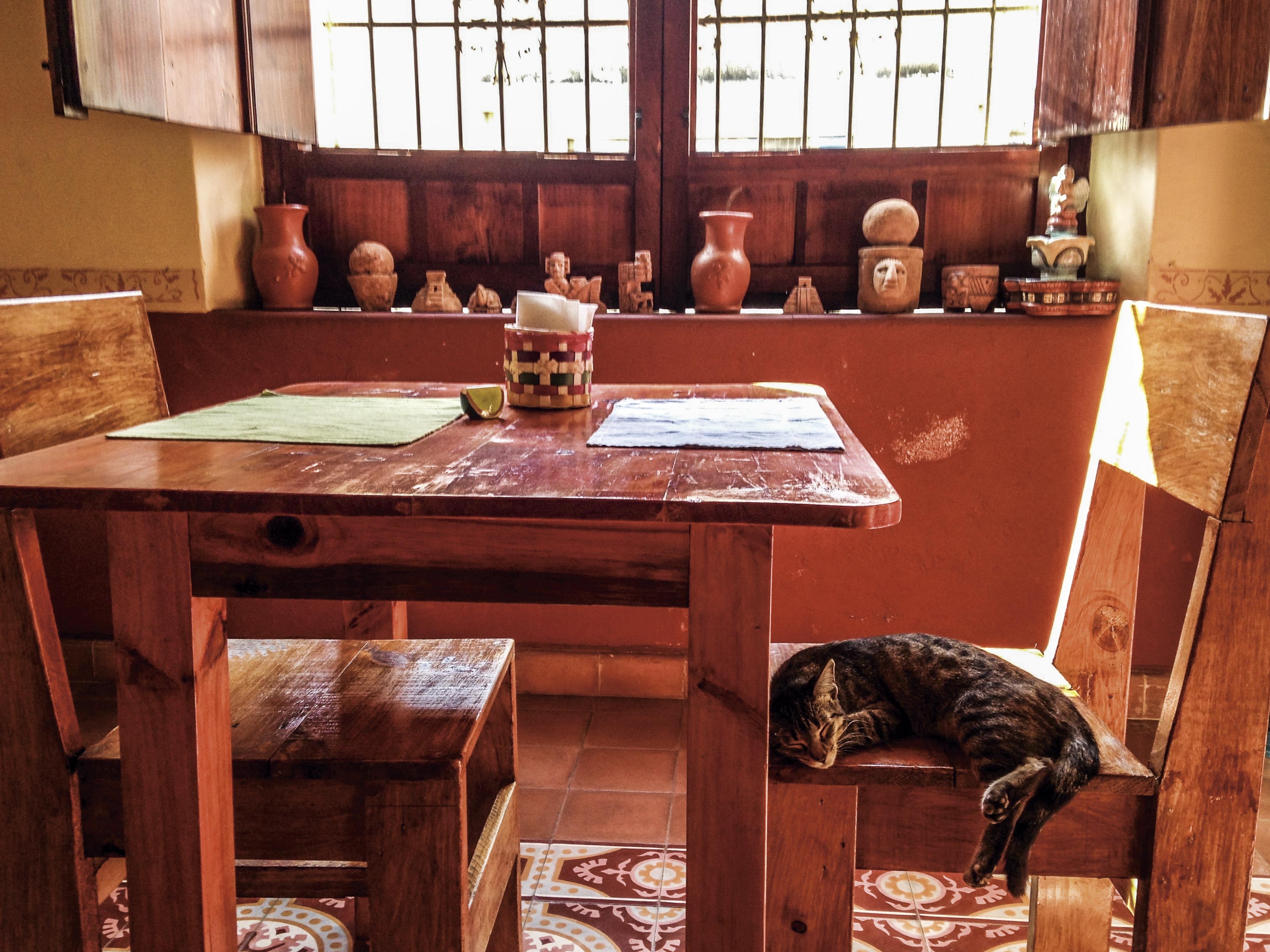 Cierran cinco restaurantes por mes